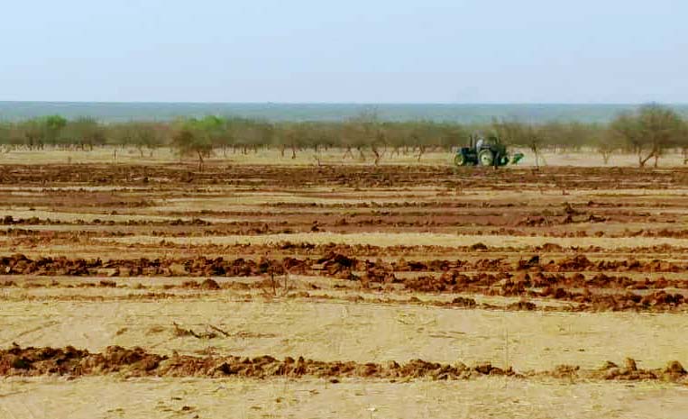 veld bewerkt door tractor