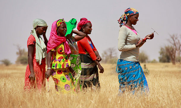 vrouwen in hoog gras